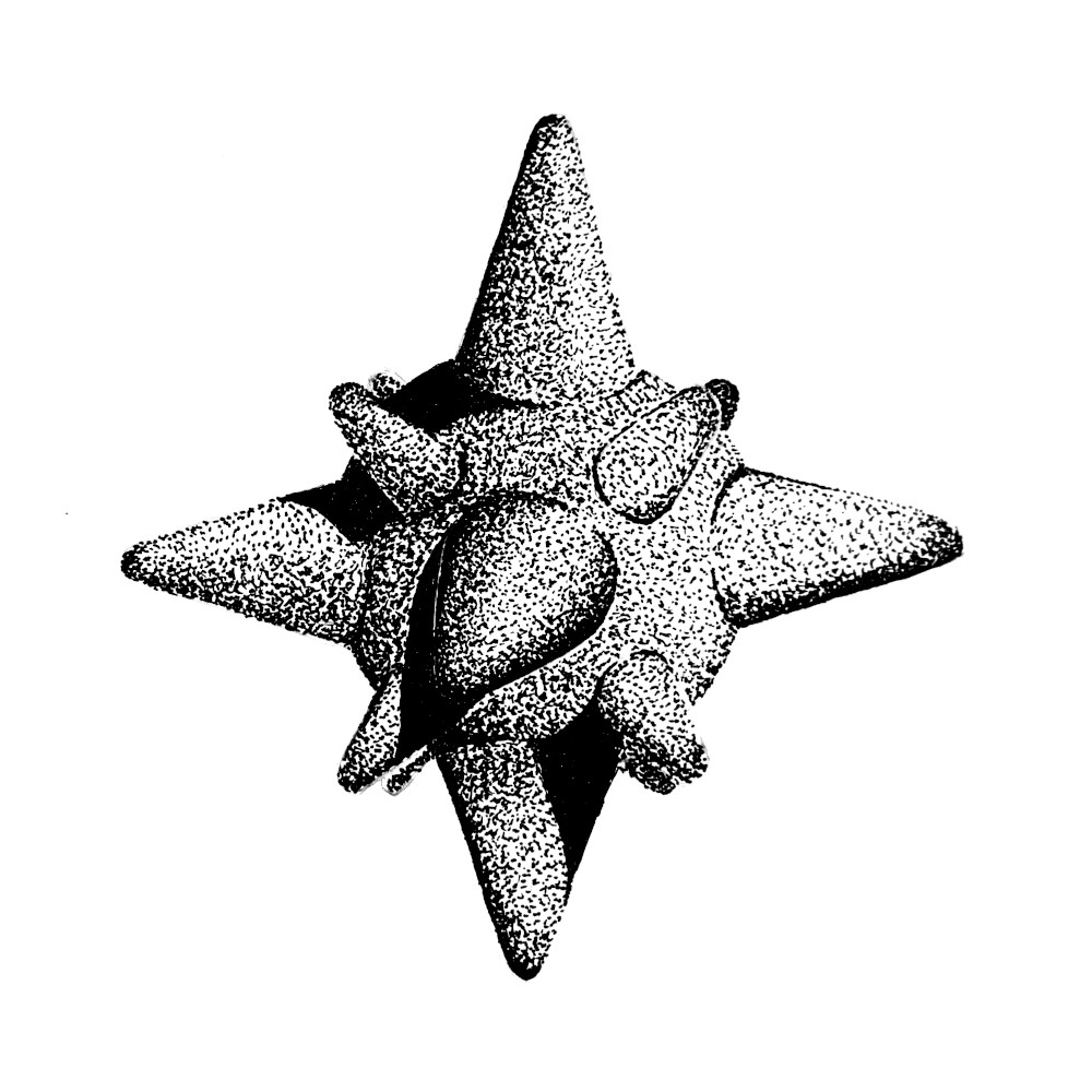 alterinstinct-sketsa-g